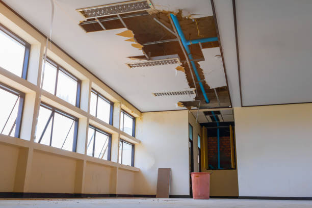 Best Flood damage cleanup  in Sargent, TX