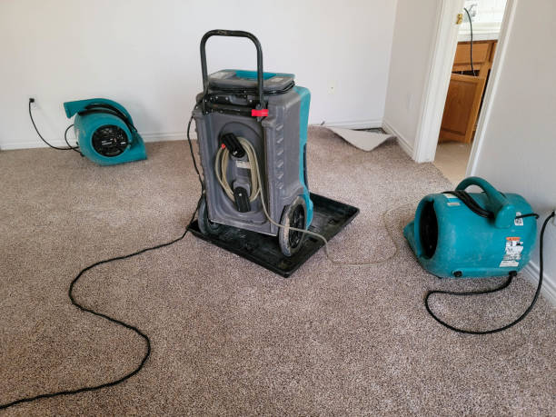Best Flooded house restoration  in Sargent, TX