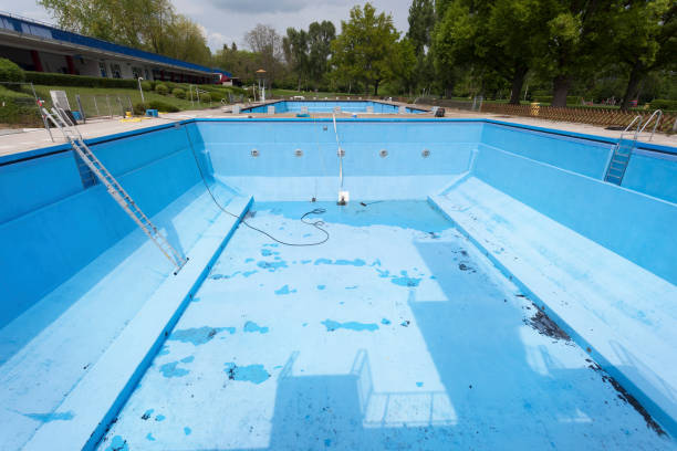 Best Basement water damage restoration  in Sargent, TX