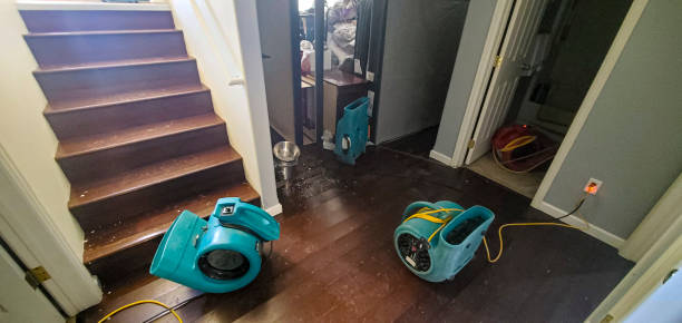 Best Mold removal after water damage  in Sargent, TX