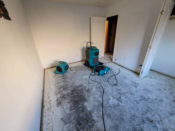 Best Water damage restoration near me  in Sargent, TX