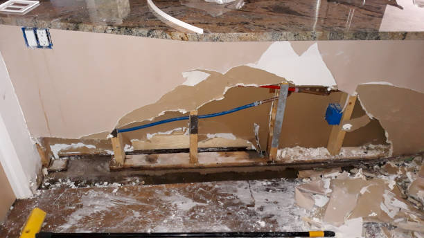 Best Carpet water damage restoration  in Sargent, TX